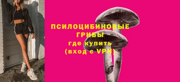 стафф Инсар