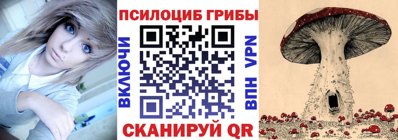 Купить закладки  Калач  Галлюциногенные грибы MAGIC MUSHROOMS 